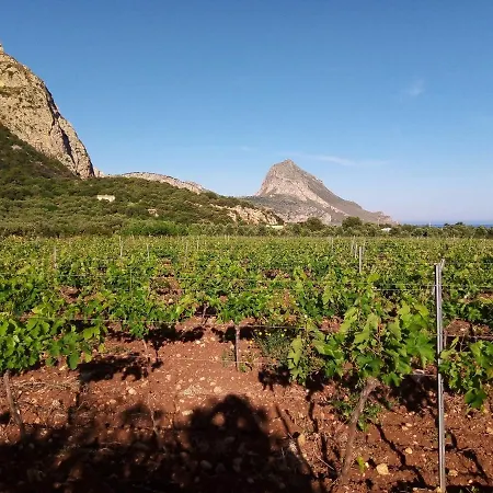Alojamento de Turismo Rural Organic Farm Castelluzzo