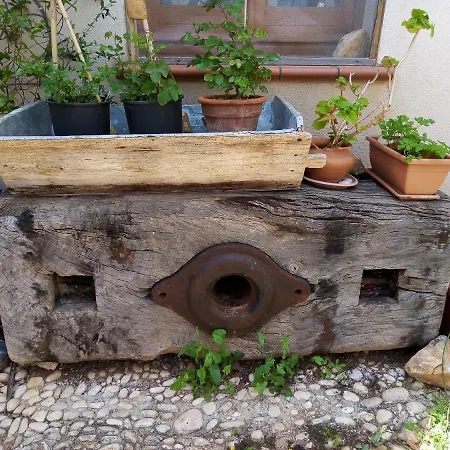 Organic Farm Alojamento de Turismo Rural Castelluzzo