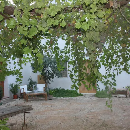 Organic Farm Castelluzzo