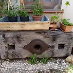 Organic Farm مزرعة للإقامة كاستيلوزو