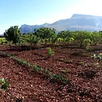 مزرعة للإقامة Organic Farm
