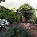 Organic Farm *