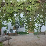 Organic Farm كاستيلوزو