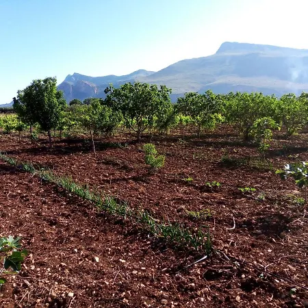 Farma Organic Farm