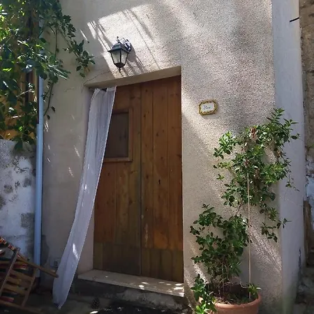 Organic Farm * Castelluzzo